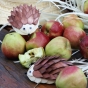 Jeżyk zestaw edukacyjny płatki z drewna Hand Made