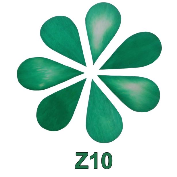 kolorystyka_Z10.jpg