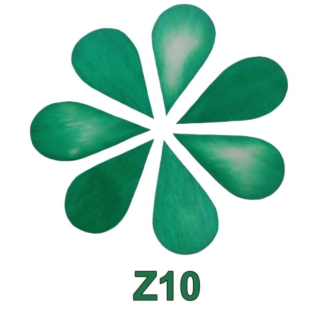 kolorystyka_Z10.jpg