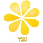 Kolorystyka Y20.jpg
