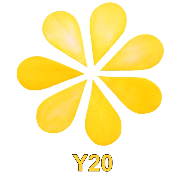 Kolorystyka Y20.jpg