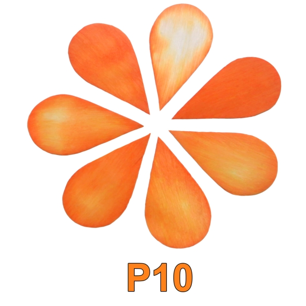 kolorystyka P10.jpg