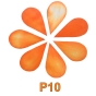 kolorystyka P10.jpg