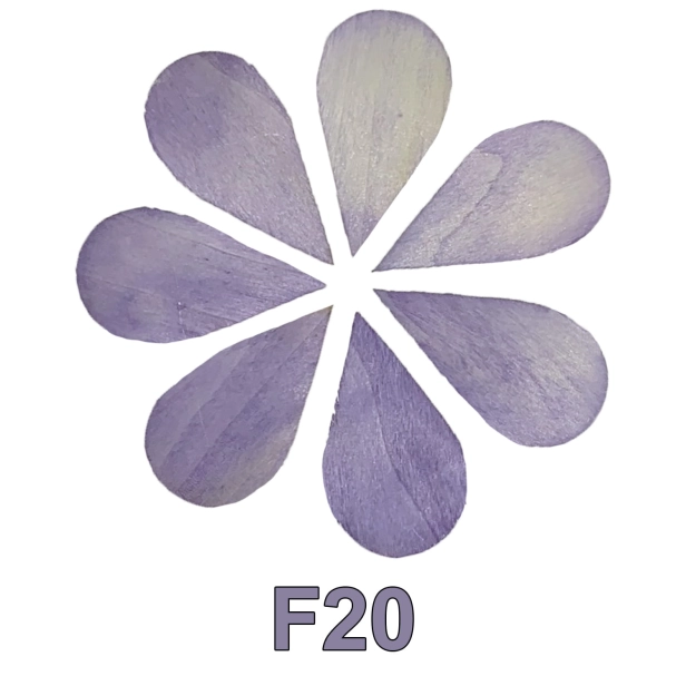 kolorystyka_F20.jpg