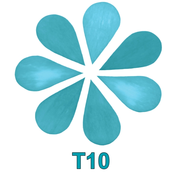 kolorystyka_T10.jpg